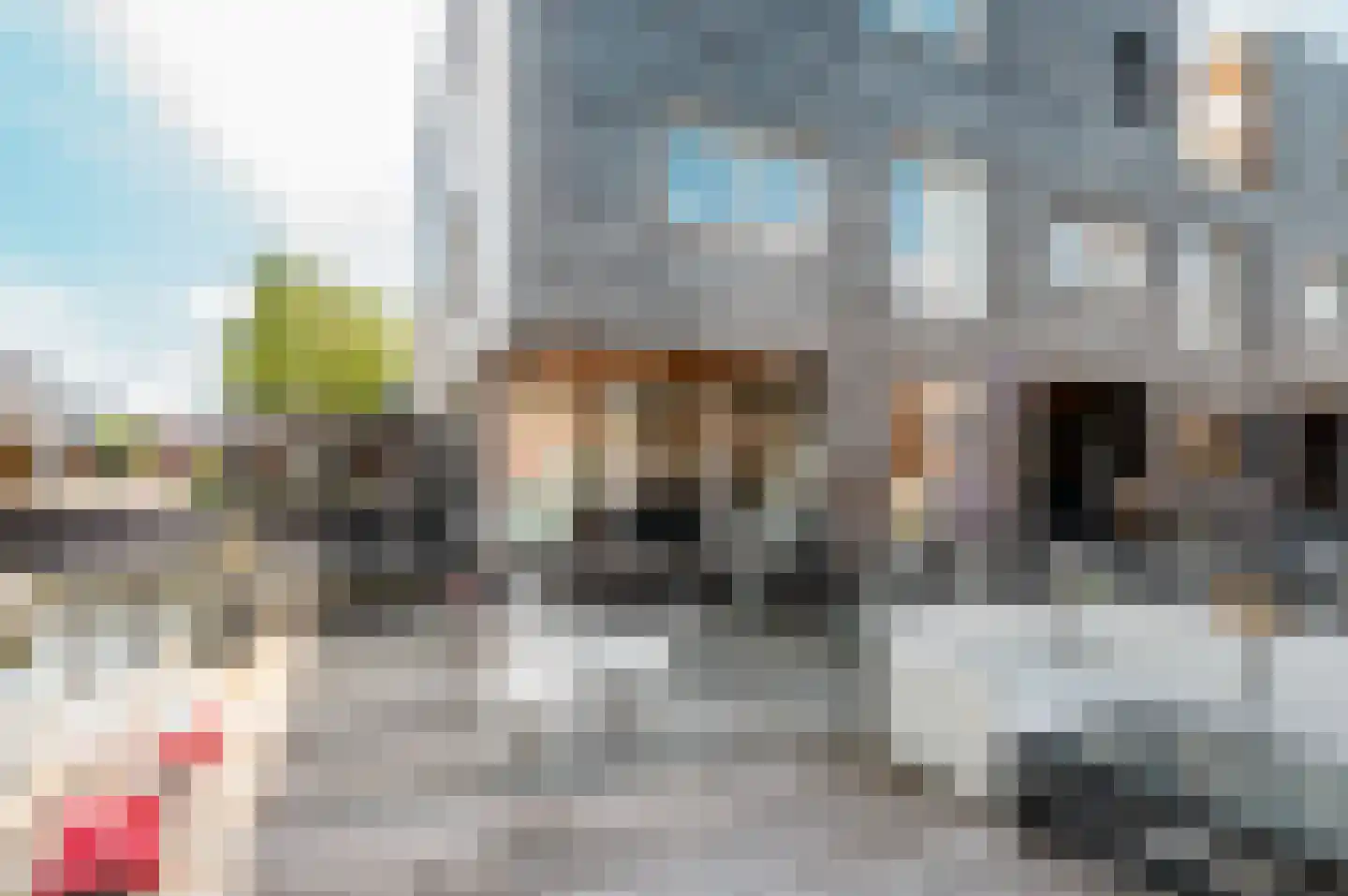 Fokkeboom 27 Almere thumbnail 28