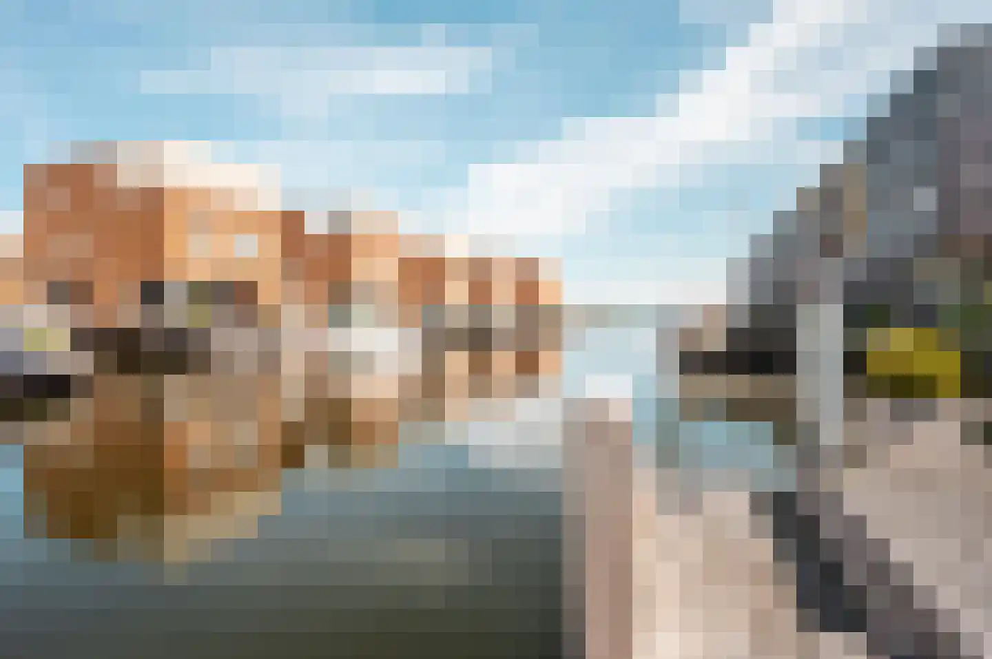 Fokkeboom 27 Almere thumbnail 30