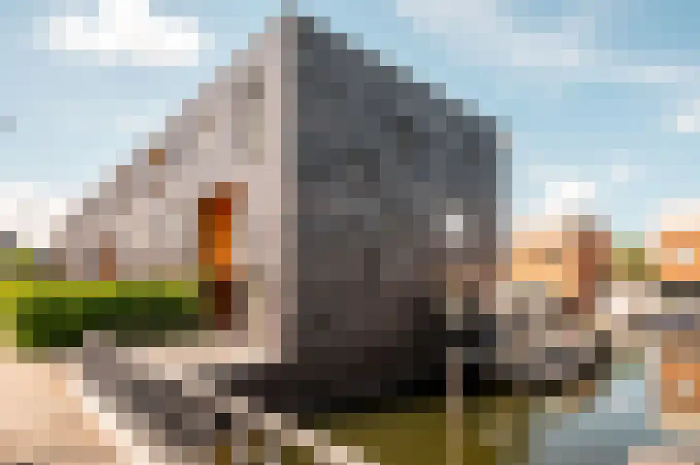 Fokkeboom 27 Almere thumbnail 33