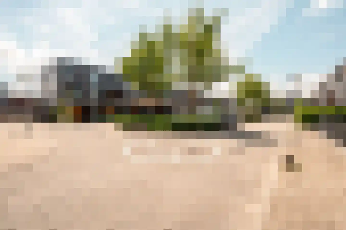 Fokkeboom 27 Almere thumbnail 34