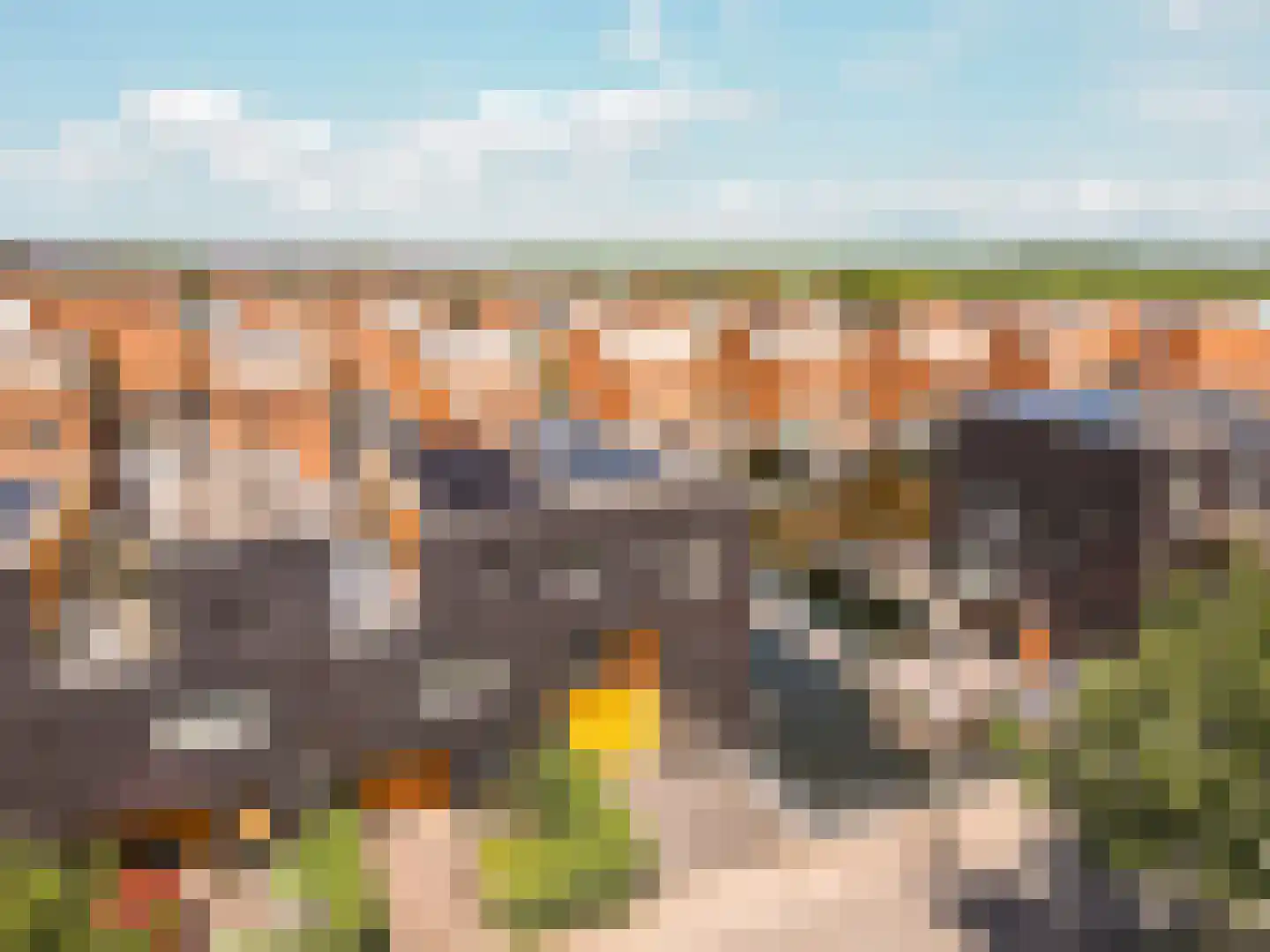Fokkeboom 27 Almere thumbnail 36
