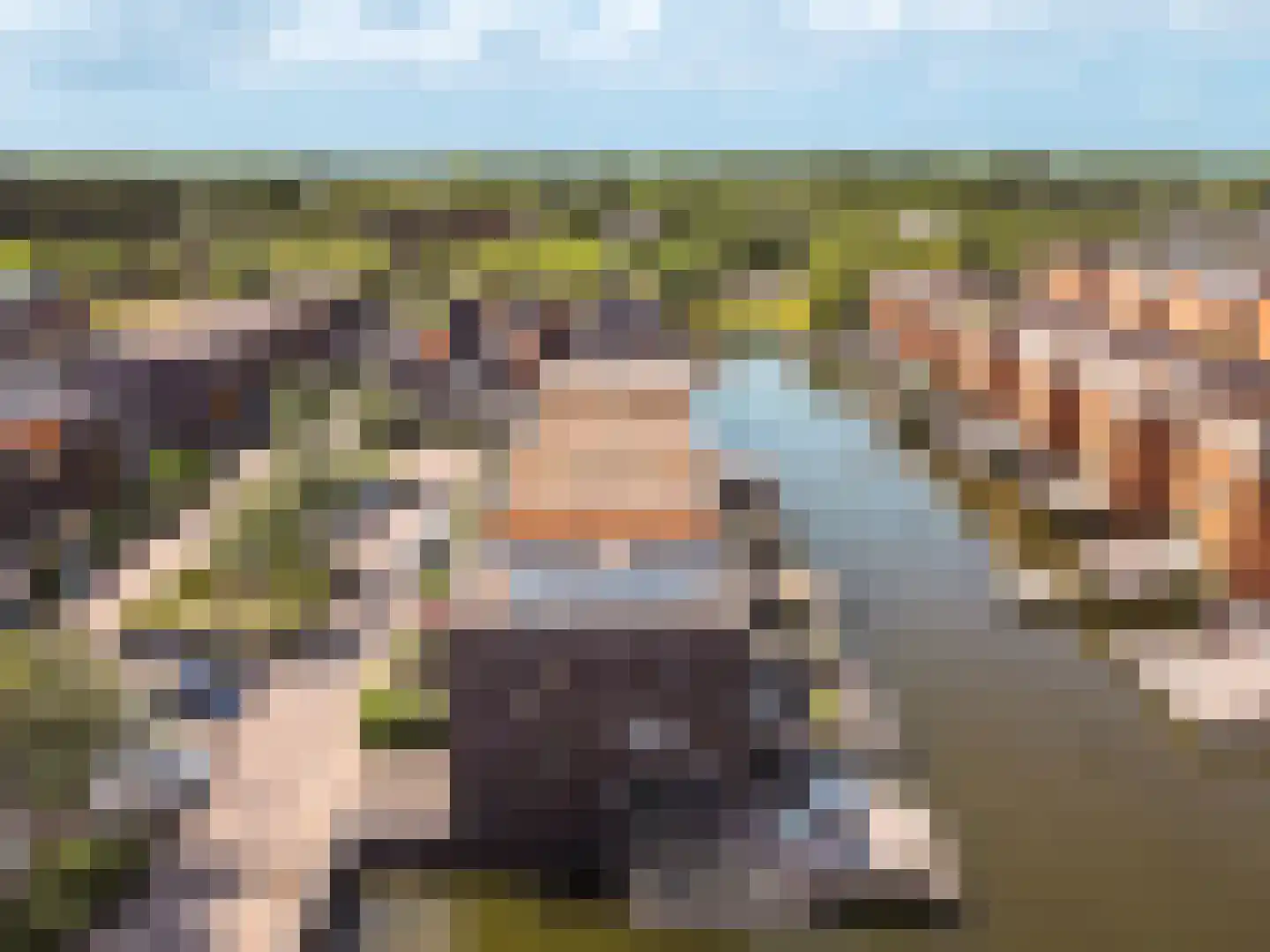 Fokkeboom 27 Almere thumbnail 38