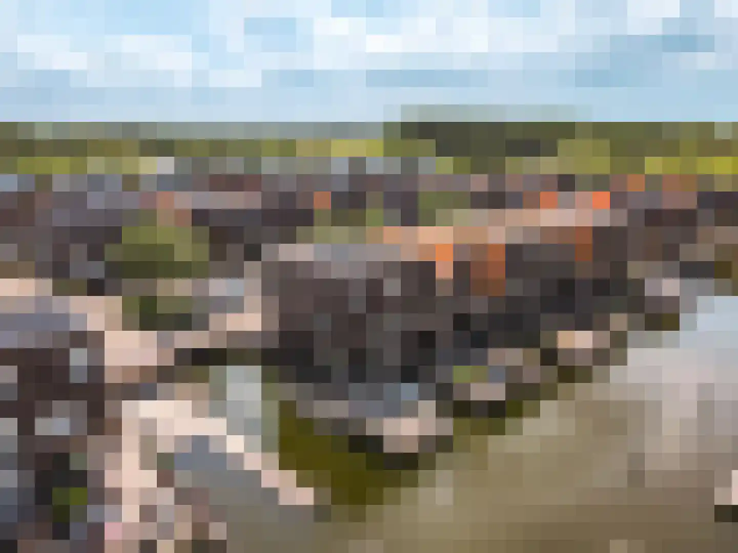 Fokkeboom 27 Almere thumbnail 39