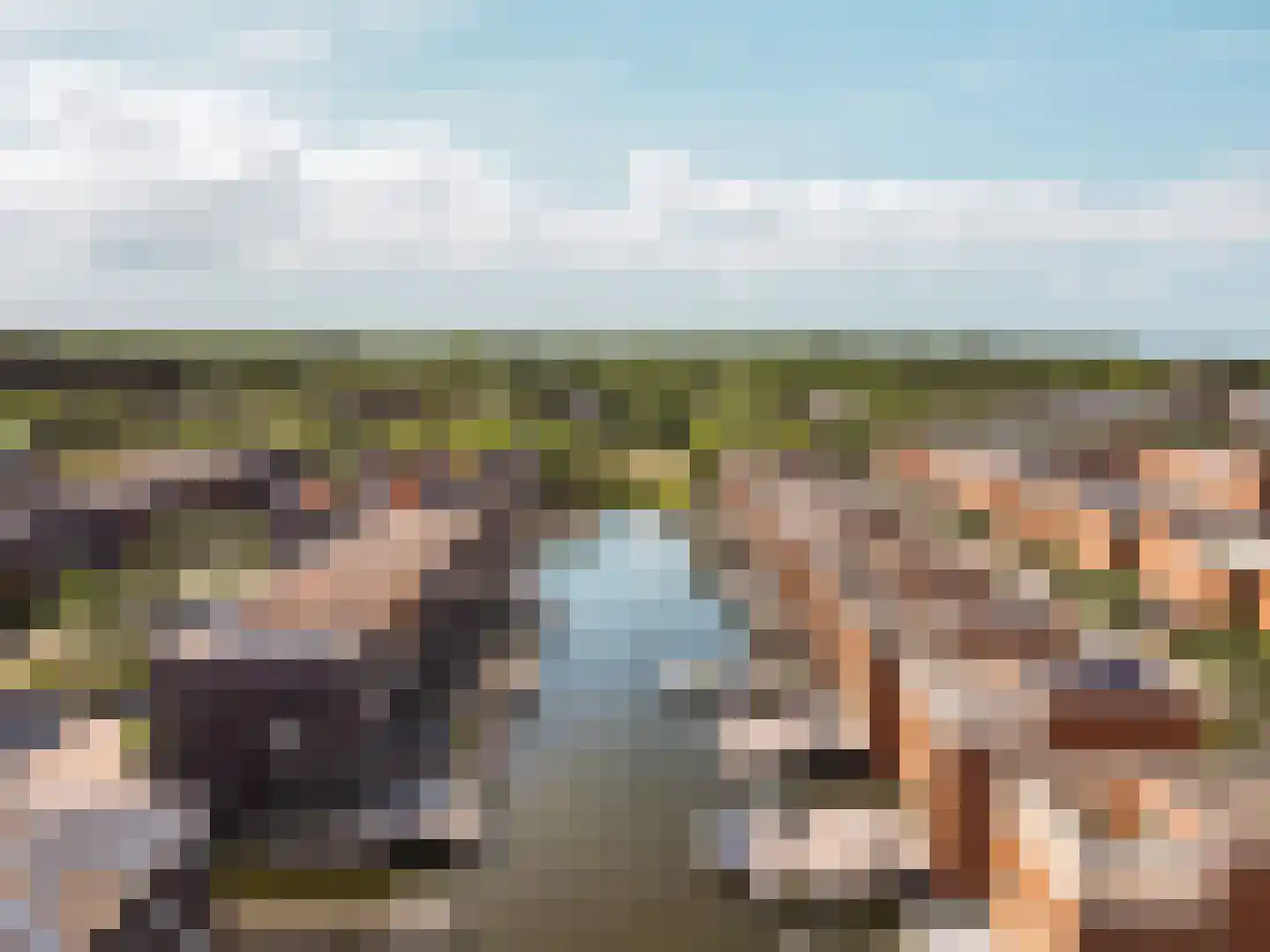 Fokkeboom 27 Almere thumbnail 42