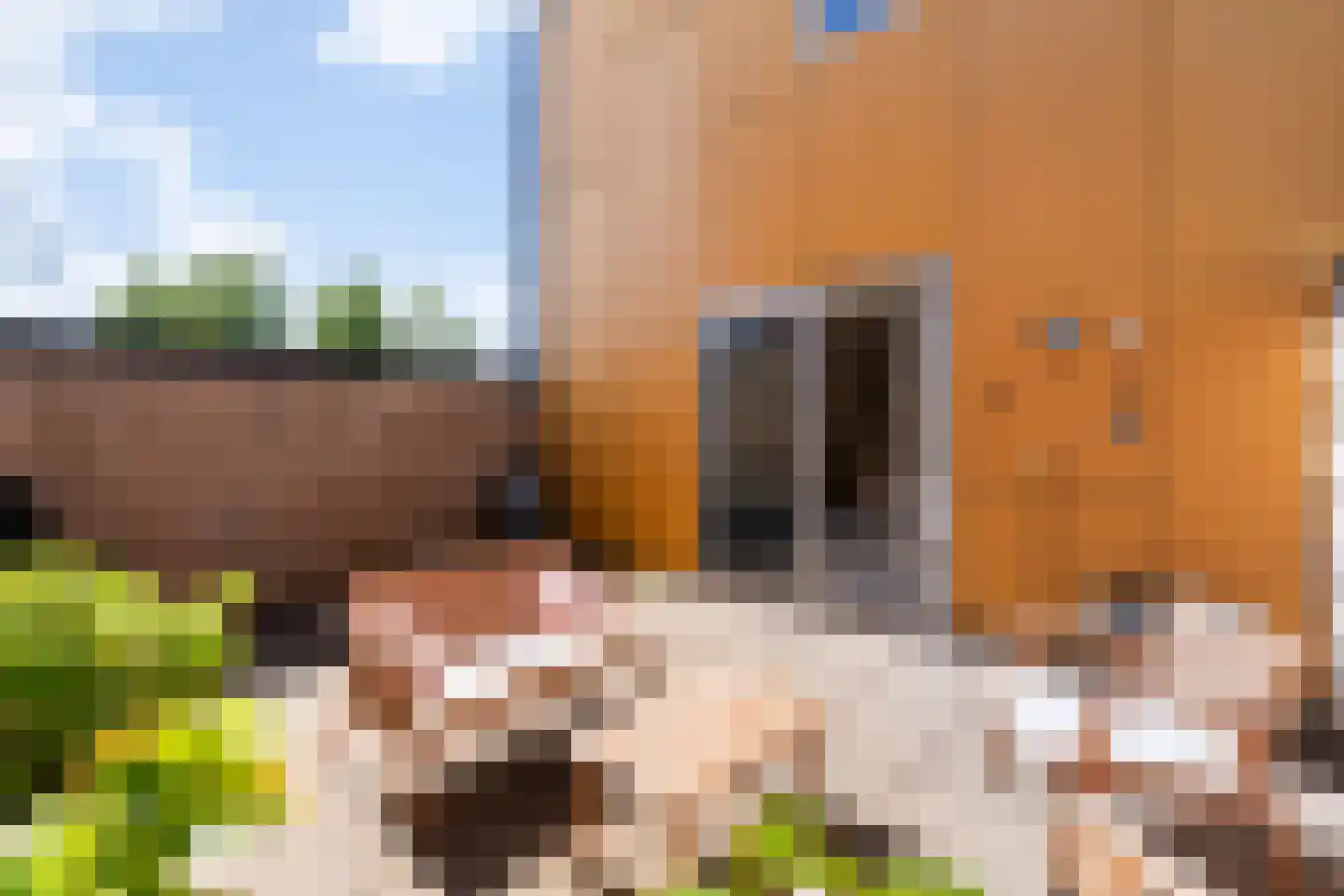 Fokkeboom 42 Almere thumbnail 24