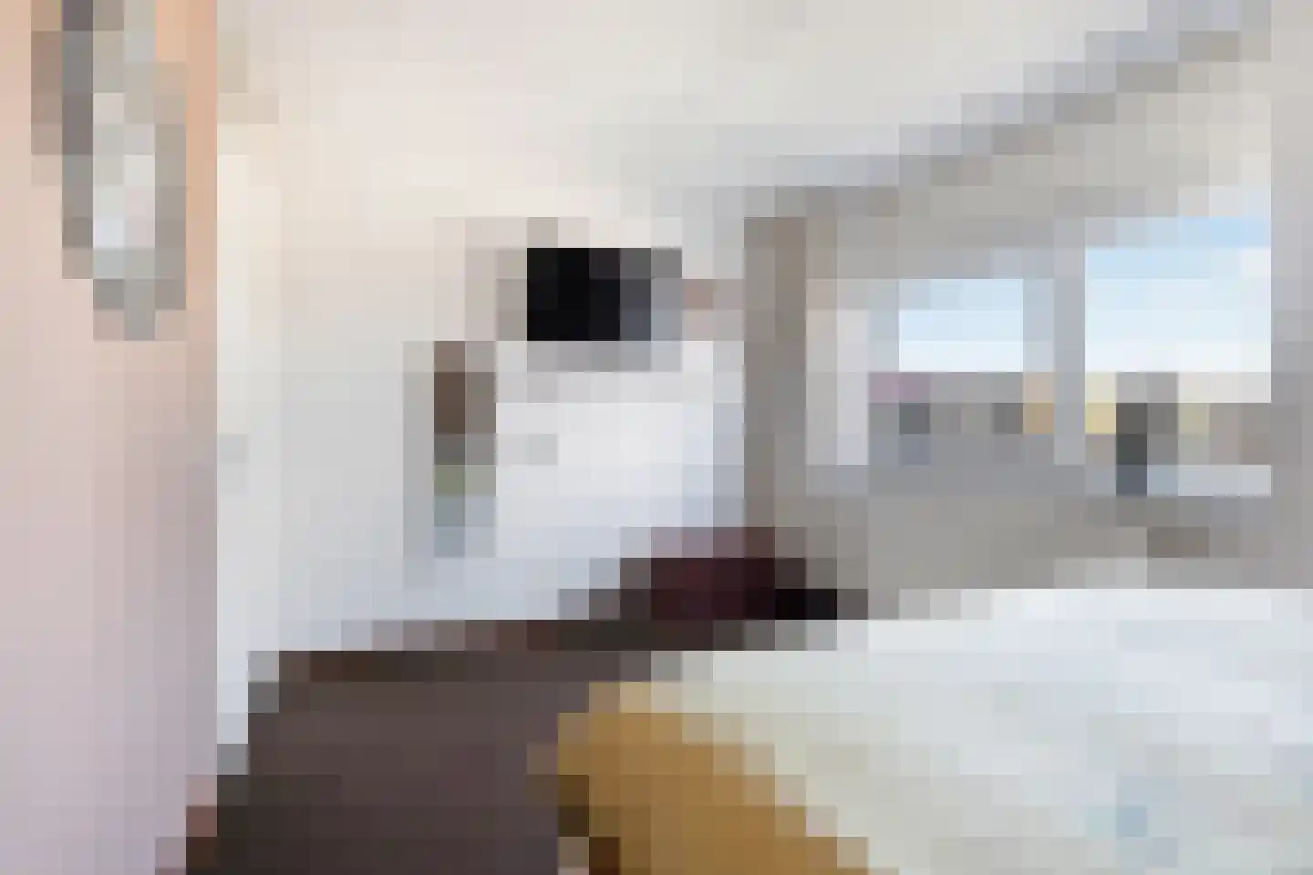 Fokkeboom 42 Almere thumbnail 32