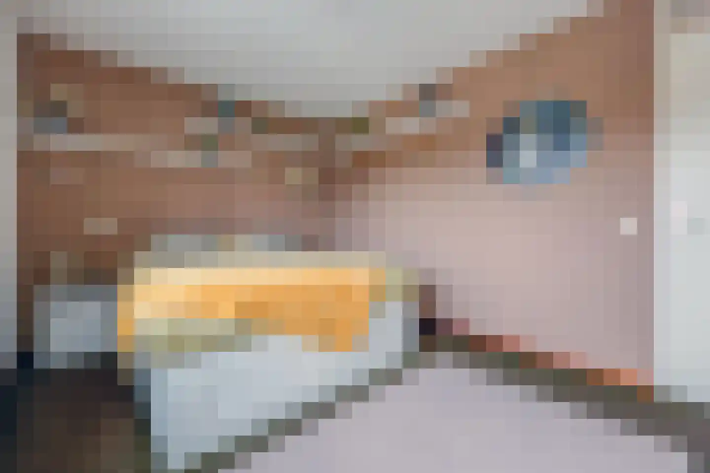 Fokkeboom 42 Almere thumbnail 33