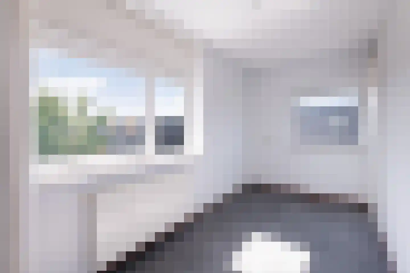 Fokkeboom 42 Almere thumbnail 34