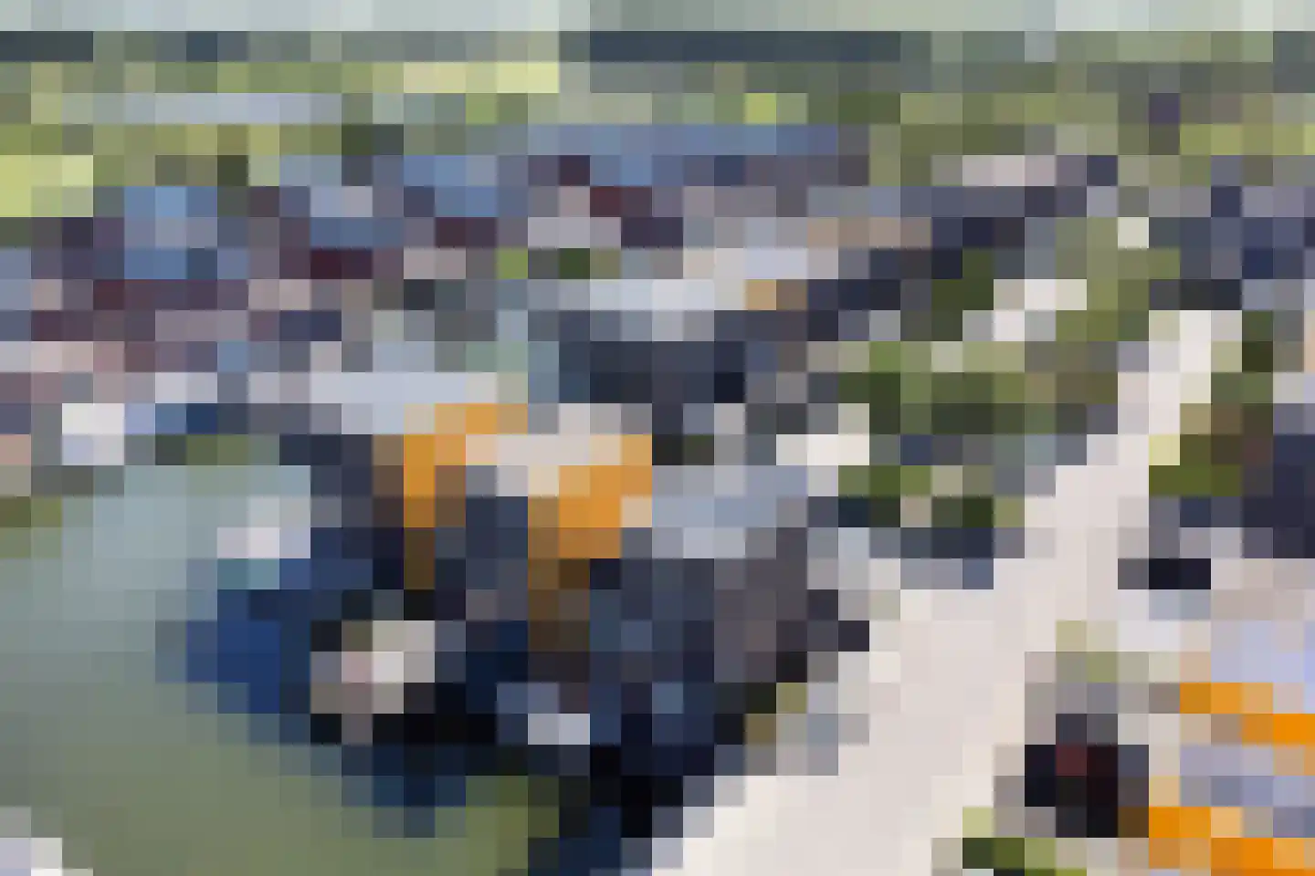Fokkeboom 42 Almere thumbnail 35