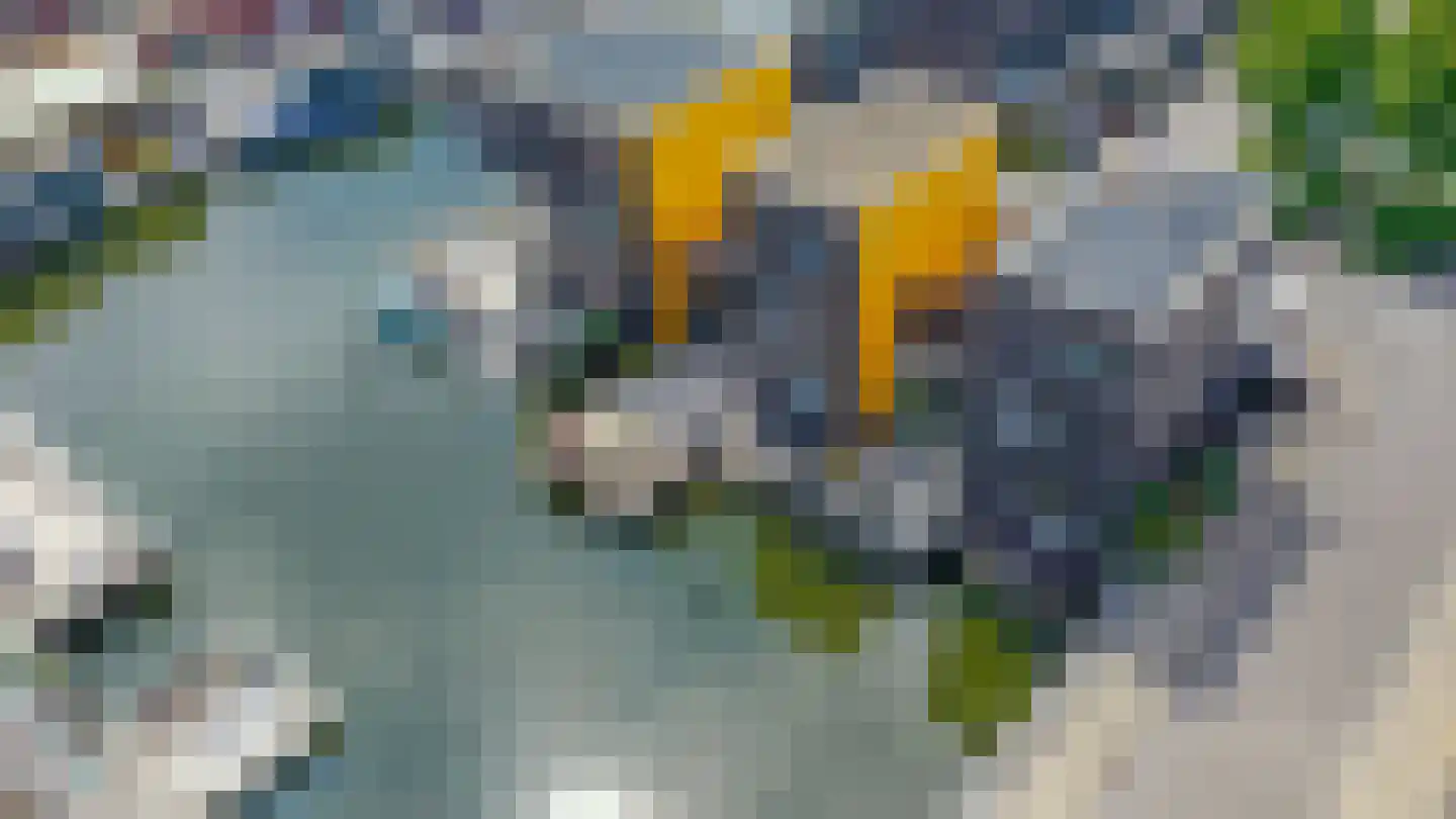 Fokkeboom 42 Almere thumbnail 36