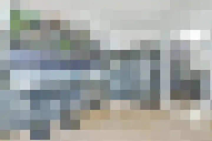 Fokkeboom 50 Almere thumbnail 11