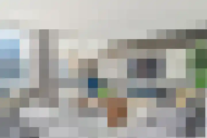 Fokkeboom 50 Almere thumbnail 13