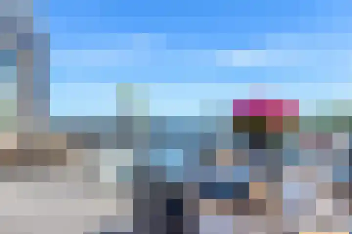 Fokkeboom 50 Almere thumbnail 16