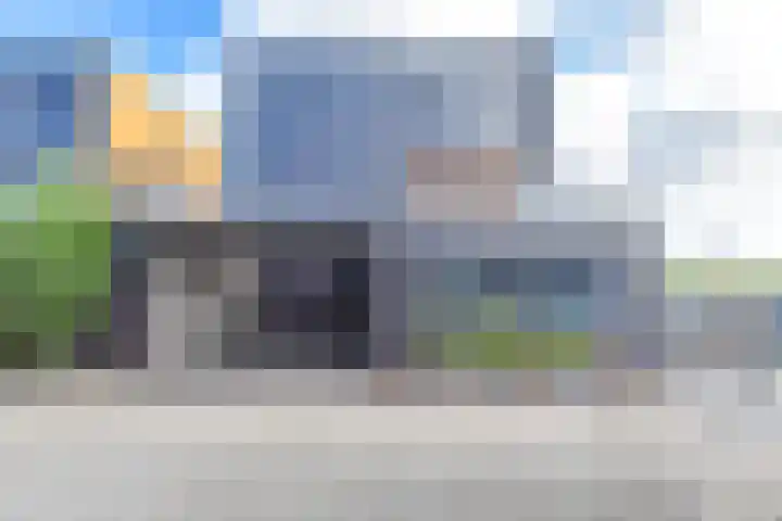 Fokkeboom 50 Almere thumbnail 33