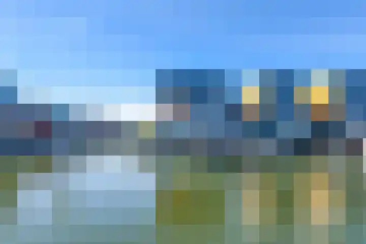 Fokkeboom 50 Almere thumbnail 35