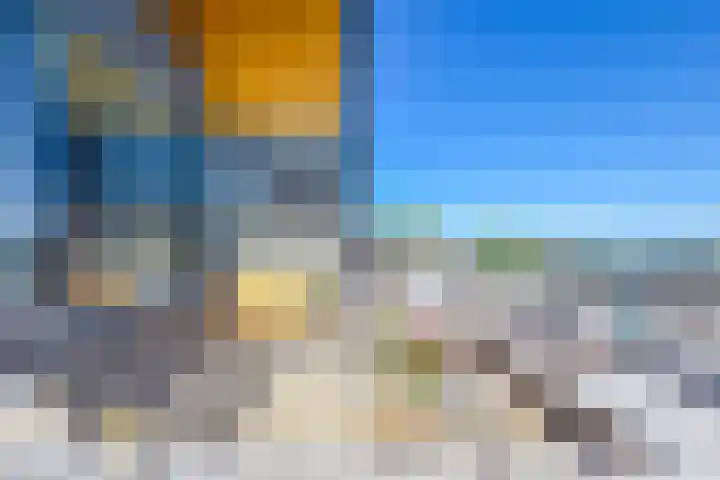 Fokkeboom 50 Almere thumbnail 38