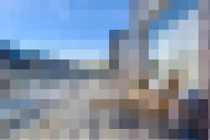 Fokkeboom 50 Almere thumbnail 39