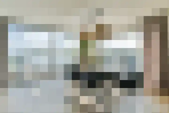 Fokkeboom 50 Almere thumbnail 4