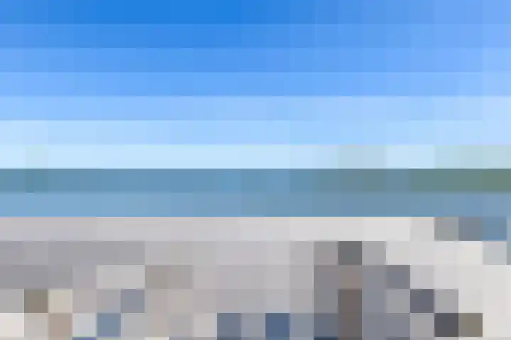 Fokkeboom 50 Almere thumbnail 42