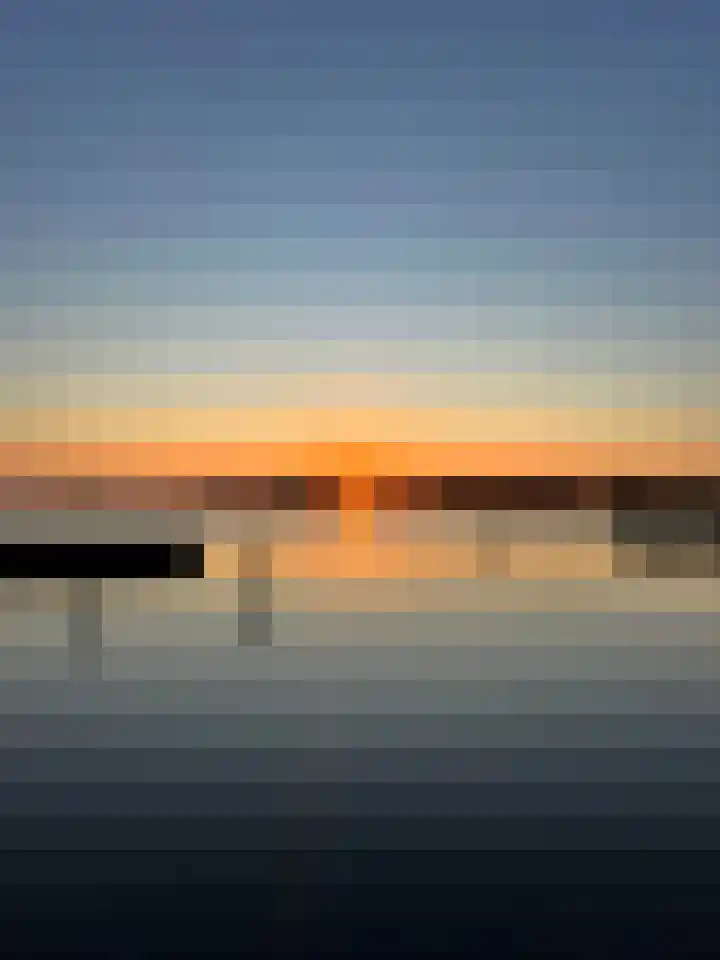 Fokkeboom 50 Almere thumbnail 43