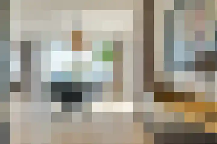 Fokkeboom 50 Almere thumbnail 5