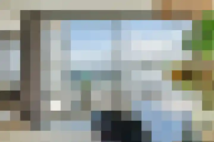 Fokkeboom 50 Almere thumbnail 6