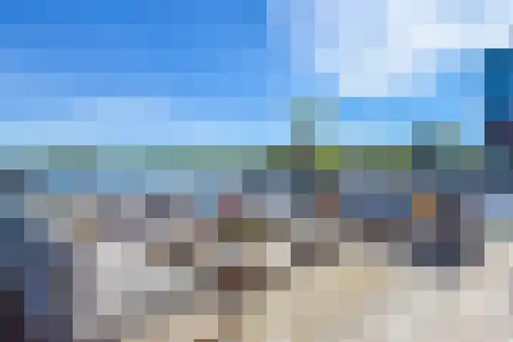 Fokkeboom 50 Almere thumbnail 7