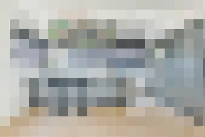 Fokkeboom 50 Almere thumbnail 8