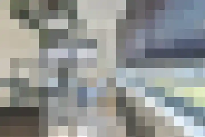 Fokkeboom 50 Almere thumbnail 9