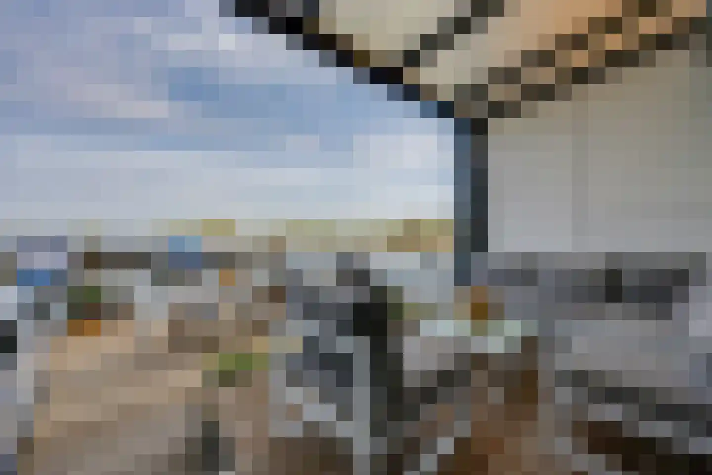 Fokkeboom 52 Almere thumbnail 11