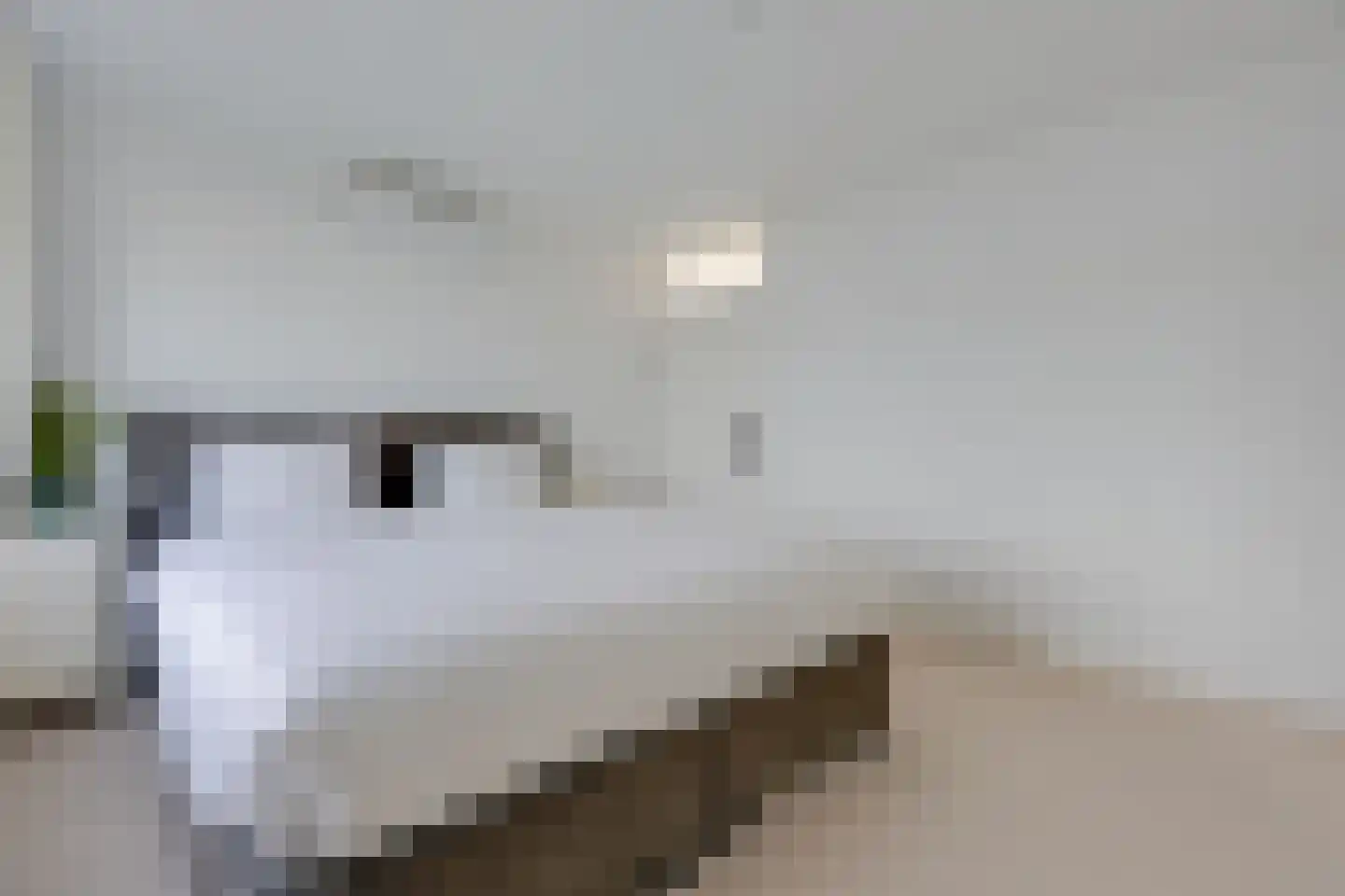 Fokkeboom 52 Almere thumbnail 22