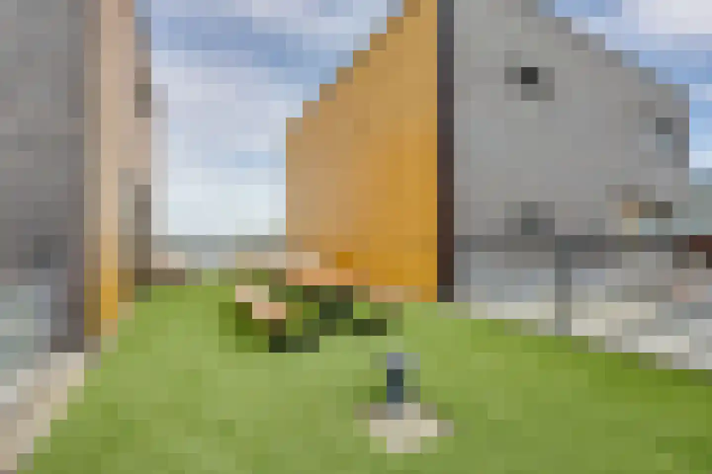 Fokkeboom 52 Almere thumbnail 29
