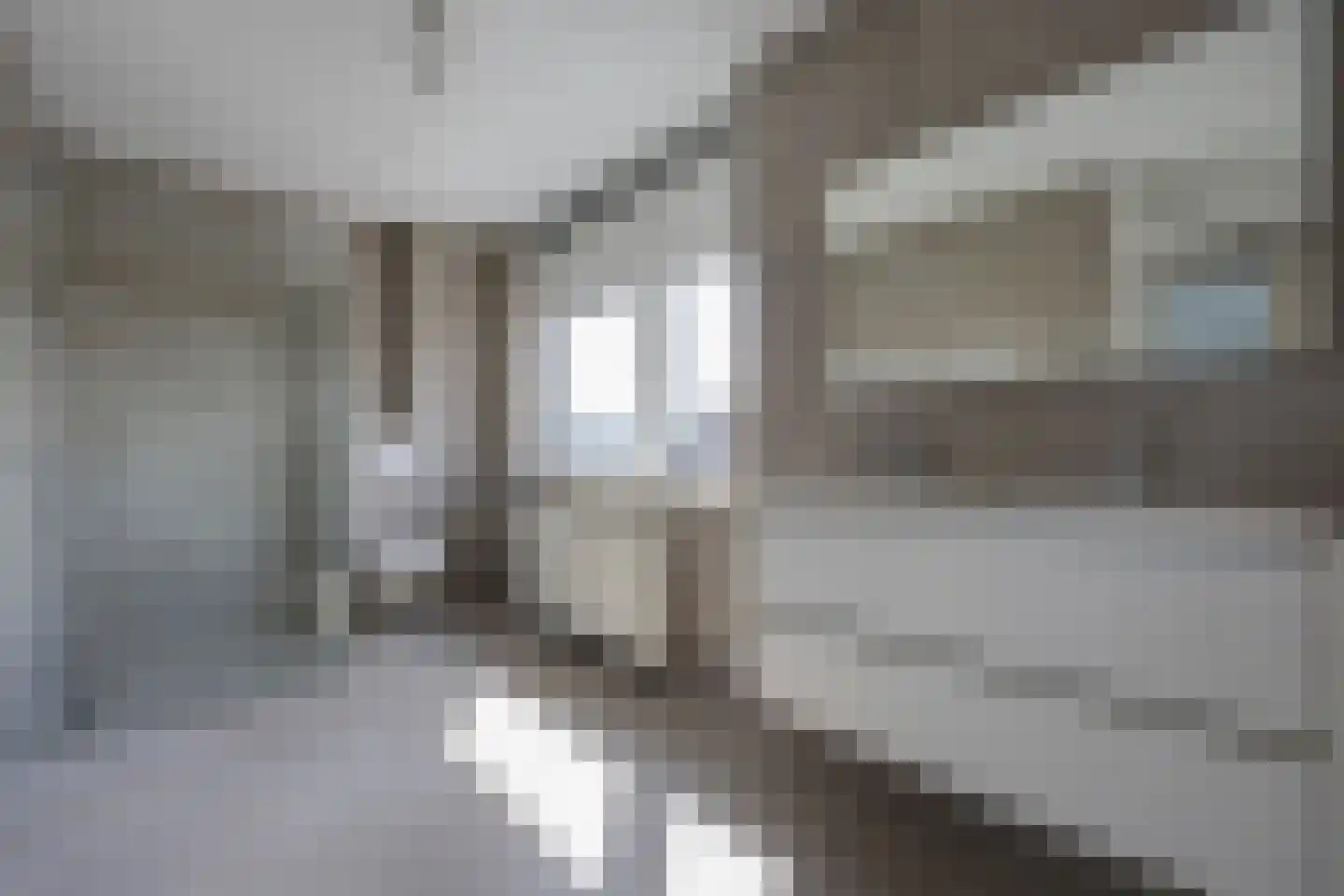 Fokkeboom 52 Almere thumbnail 38