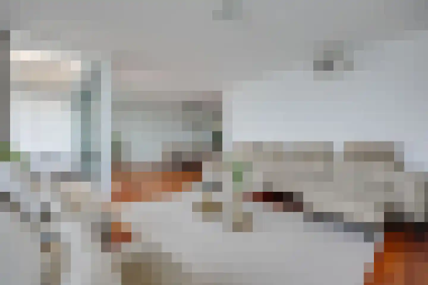 Fokkeboom 52 Almere thumbnail 5