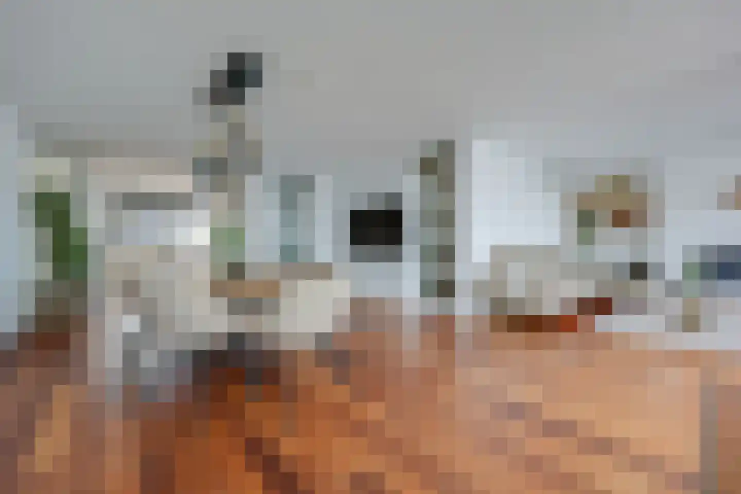Fokkeboom 52 Almere thumbnail 6