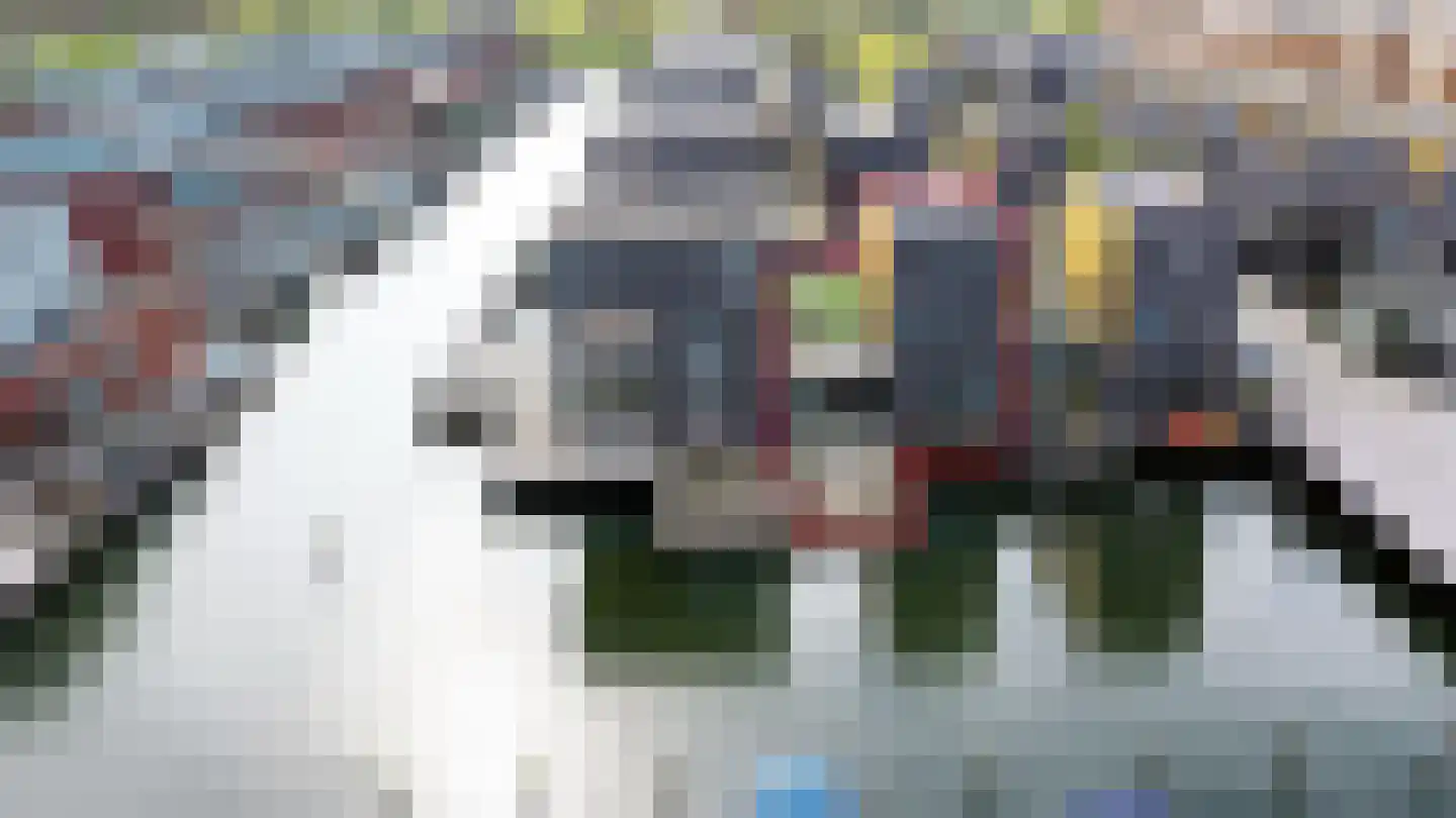 Fokkeboom 52 Almere thumbnail 62