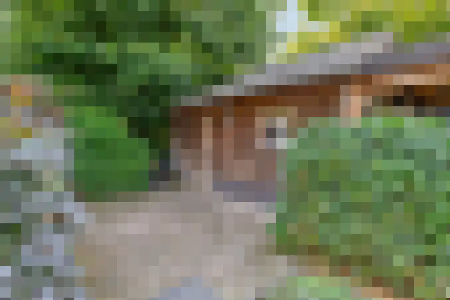 Fokkenkampseweg 1 Wehl thumbnail 15