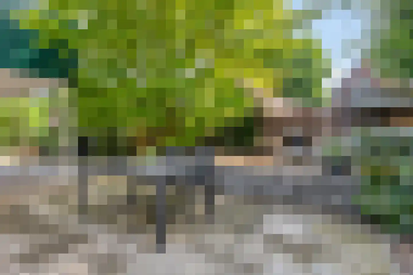 Fokkenkampseweg 1 Wehl thumbnail 16