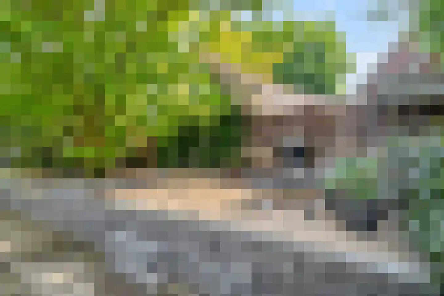 Fokkenkampseweg 1 Wehl thumbnail 17