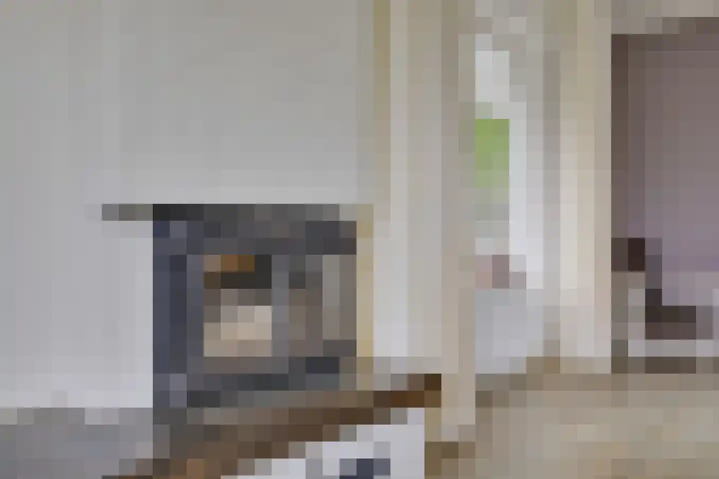 Fokkenkampseweg 1 Wehl thumbnail 30