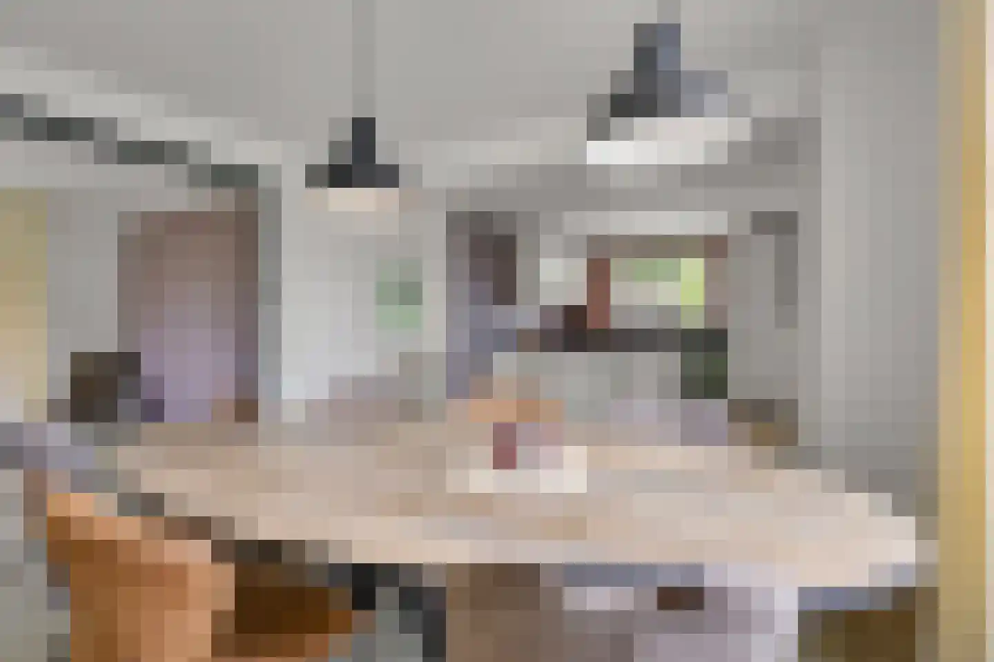 Fokkenkampseweg 1 Wehl thumbnail 32