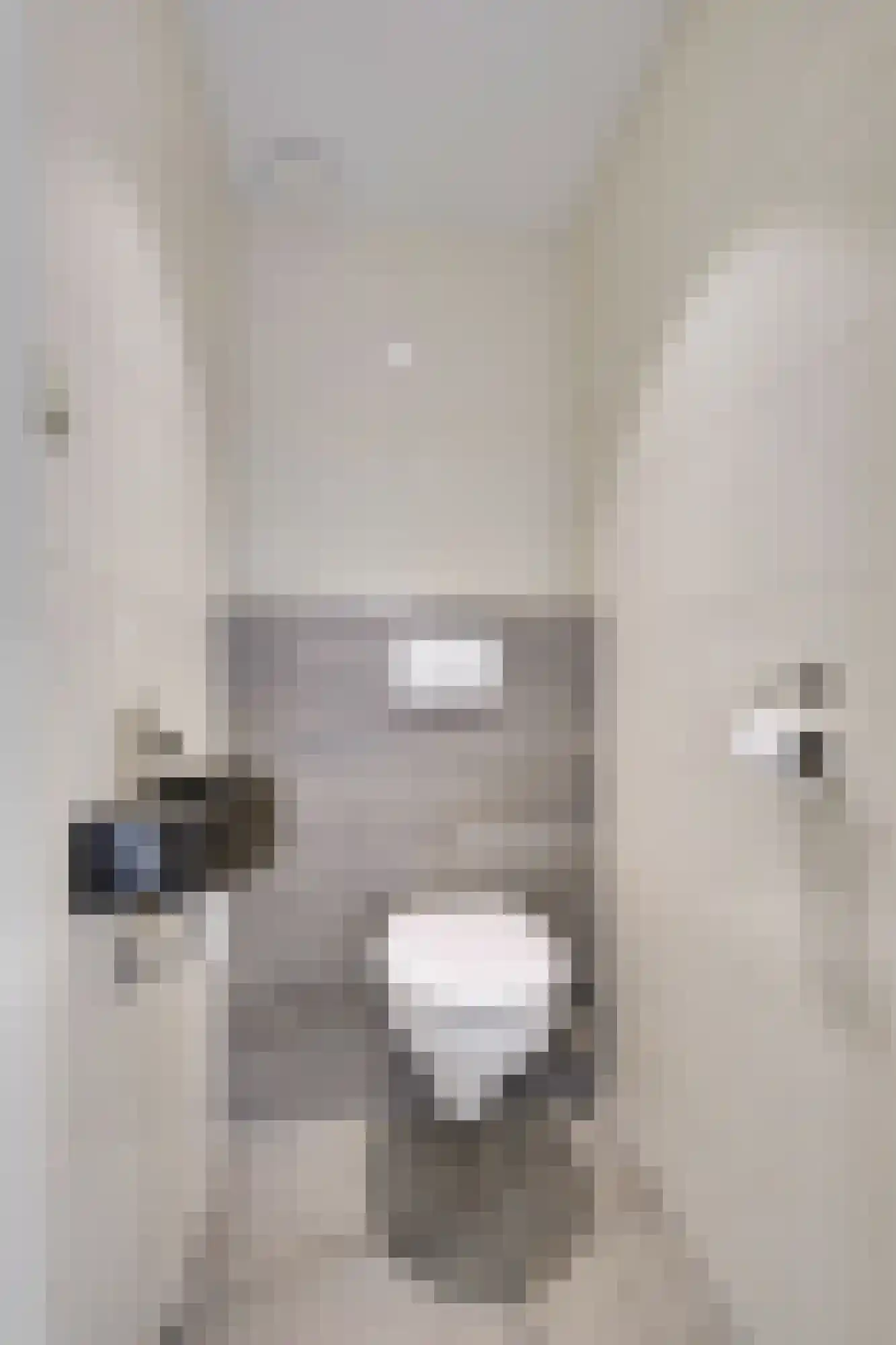 Fokkenkampseweg 1 Wehl thumbnail 41
