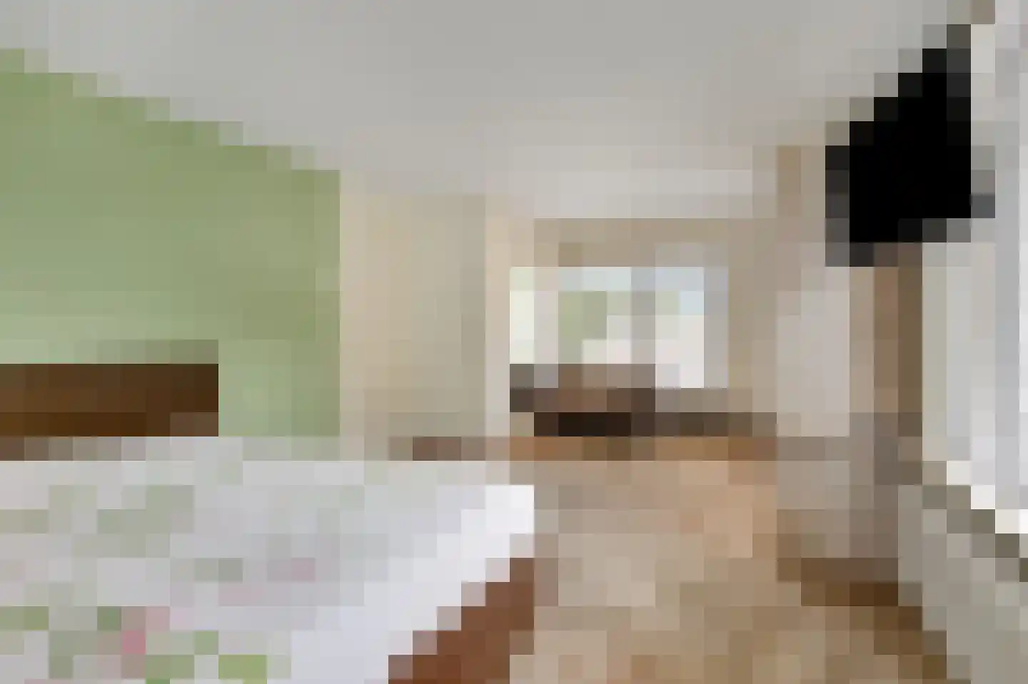 Fokkenkampseweg 1 Wehl thumbnail 50