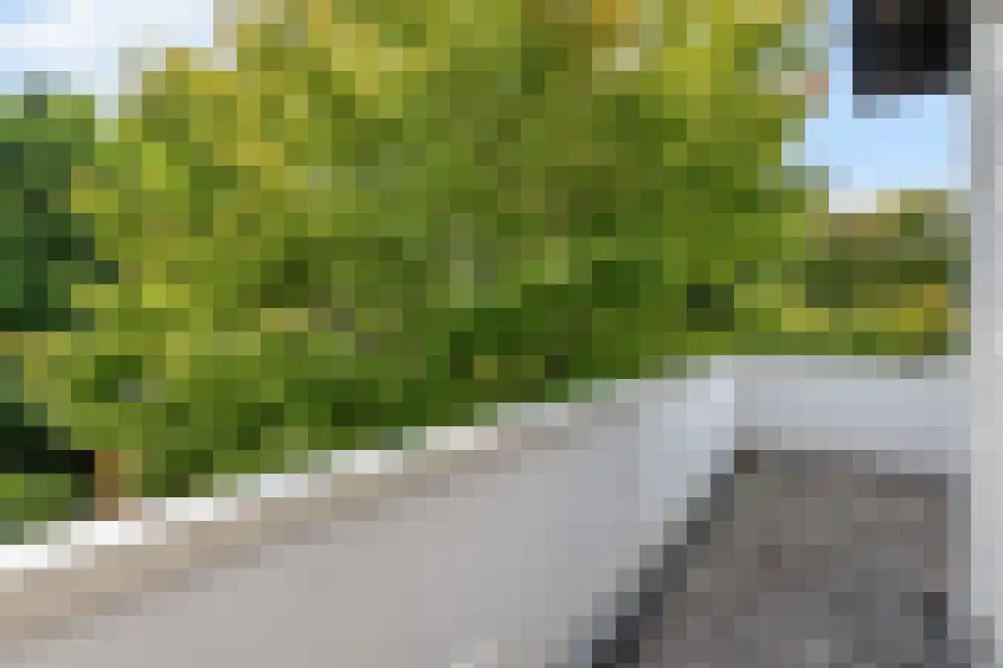 Fokkenkampseweg 1 Wehl thumbnail 52