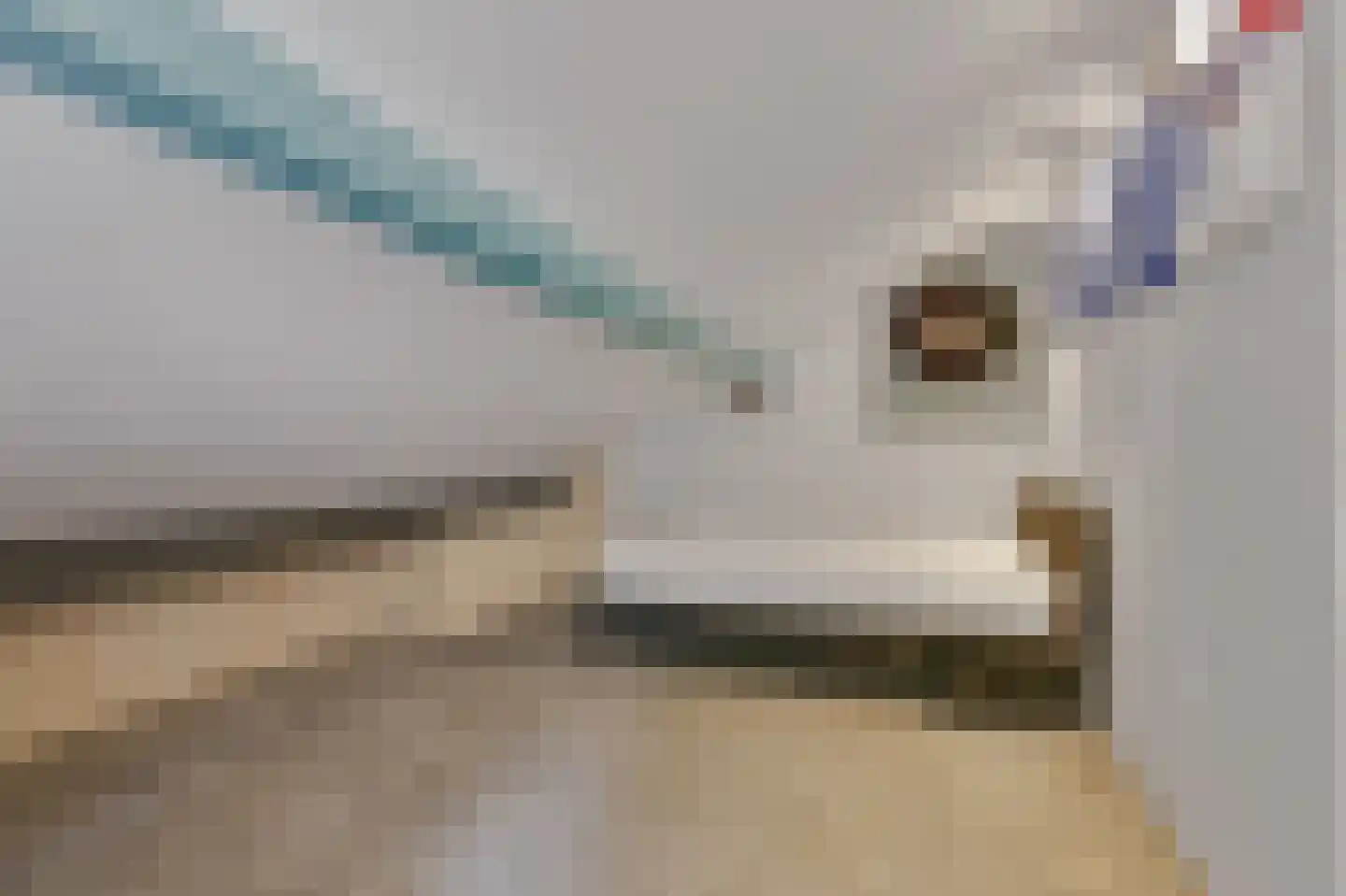 Fokkenkampseweg 1 Wehl thumbnail 59