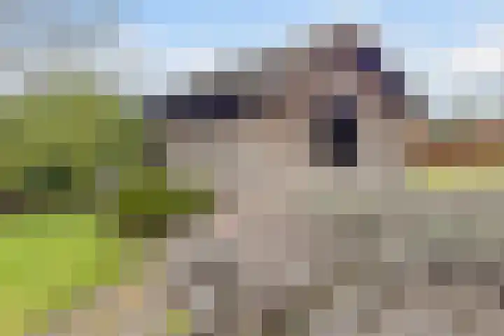 Fokkenkampseweg 3 Wehl thumbnail 28