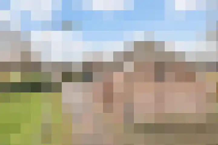 Fokkenkampseweg 3 Wehl thumbnail 40