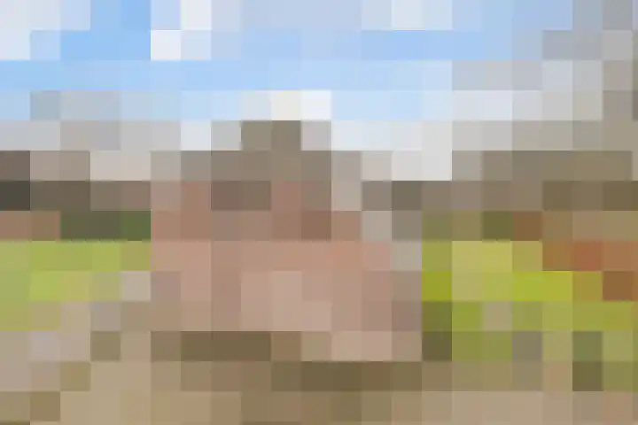 Fokkenkampseweg 3 Wehl thumbnail 41