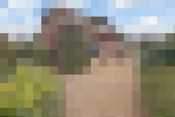 Fokkenkampseweg 3 Wehl thumbnail 5
