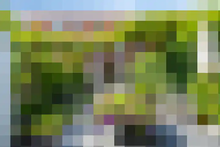 Fokkerlaan 54 Amstelveen thumbnail 31